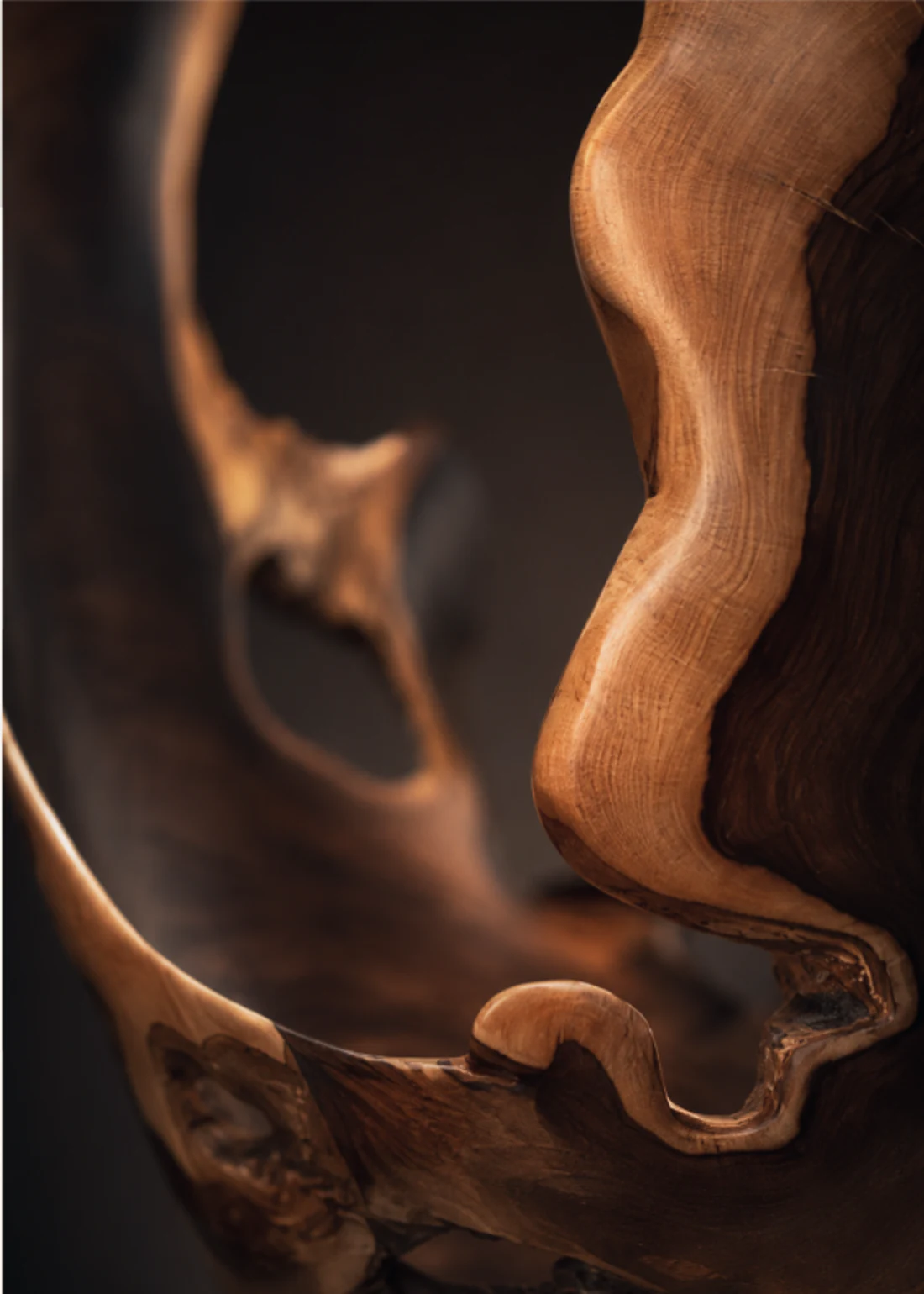 Close view of a carved wood edge showing grain, natural voids and a hand-finished profile.