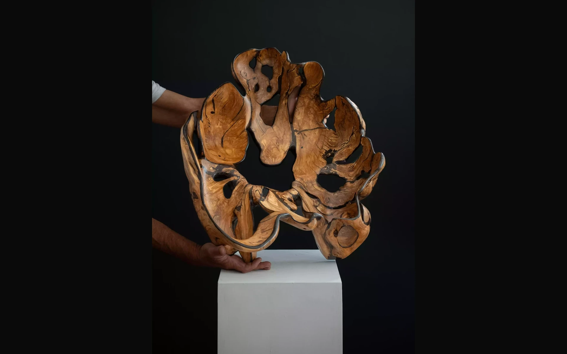 Alternate view of Sculptural Wild Olive Root Bowl, held upright in the studio.